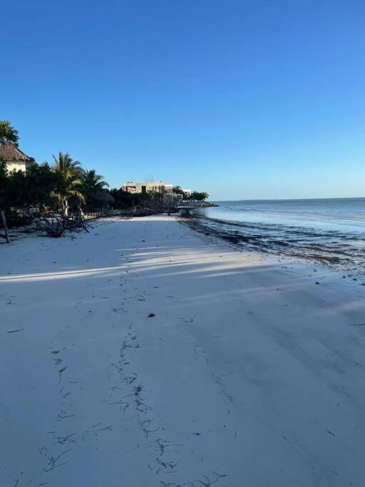 Апартаменти Casa Molly Isla Holbox Екстер'єр фото